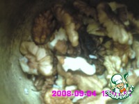 ������ "��� � �������" �����������