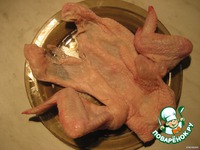 ������ "�����������" �����������