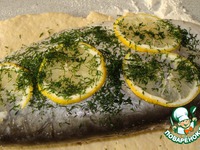 ���� � ������� ����� � ������������ ���� ��-����������� �����������