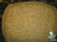 �������� "�������� ���������" �����������