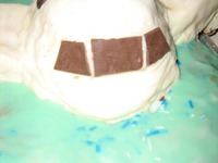 ���� "�������" �����������