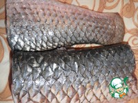 ���� � ���������� ������ �����������