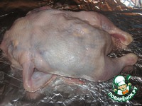 ������ "��������" �����������