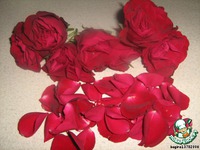 ���� "������" �����������