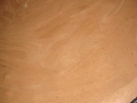 ����-����� � ������ �����������