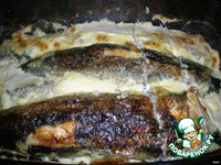 �������e��� ������������� �����������