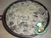 ����� ��� ������ ����� �����������