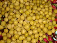 ��������  �  ��������  ������� �����������