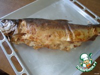 ������� ��-���������� �����������