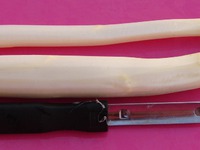 ����� ������ - ������� ������������� �����������