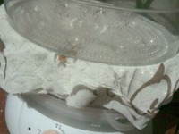 ����� �����������