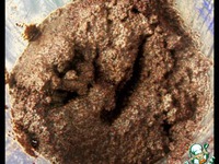 �������-�������  ����� �����������