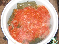 ������������� ����������� ������ �����������