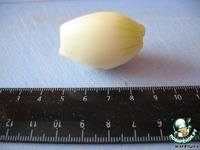 ��������� �� ���� "����������" �����������