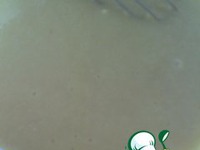 �������� ���������� � ������� �����������