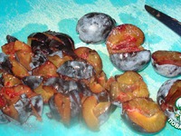 �������� � �������� ����� "��������" �����������