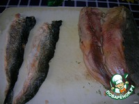 �������e��� ������������� �����������