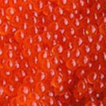 ��� ��������� ������� ������� ����