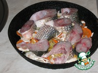 �������� � ������� �����������