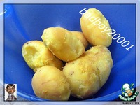 ������������ ���� � �������� �� ������ �����������