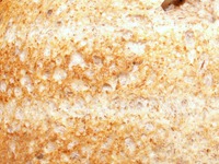 ������ ����� �����������