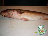 ������������� �������� �����������