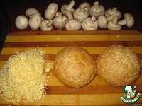 ������ � �������� �����������