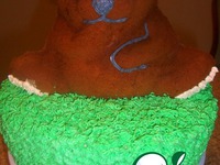 ���� "�����" �����������