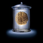 ������� �������� ��� �����: