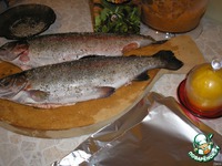 ������, ���������� � ������ �����������