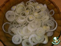 ���������� � �������� �����������