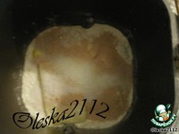 "�������������� �����" �����������