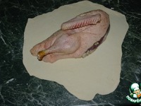 �������������� ���� �����������