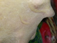 �������� ������� "���� �������" �����������