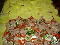 ���������"������������" �����������