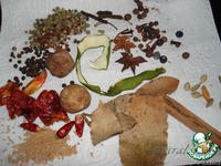 "������ ������! ������ ����!" - ������� �����������