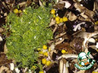 ����� �� ������� ������ �����������