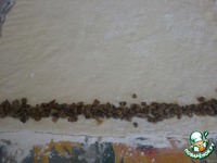 ������������ �������� � ������� �����������