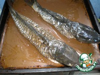 ������������� ���� �����������