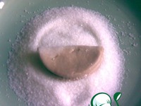 ������� "����" �����������