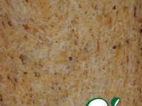 ���� � �������� ���������� � ����� �����������