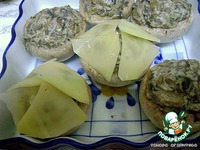 ������ � ������� ������ �����������