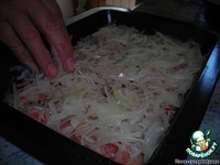 ��������� �� ������ �����������