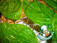 ������ ������� �������� �����������