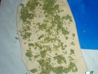 �������-�������� �����������