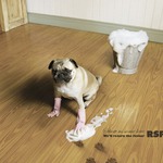 �������� ������