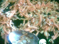 ����� � ������ �������� �����������