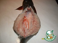 ������������� �������� �����������