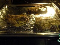 �������� � �����-��������� �������� �����������