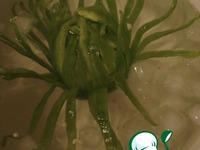 ������� "������ �����" �����������